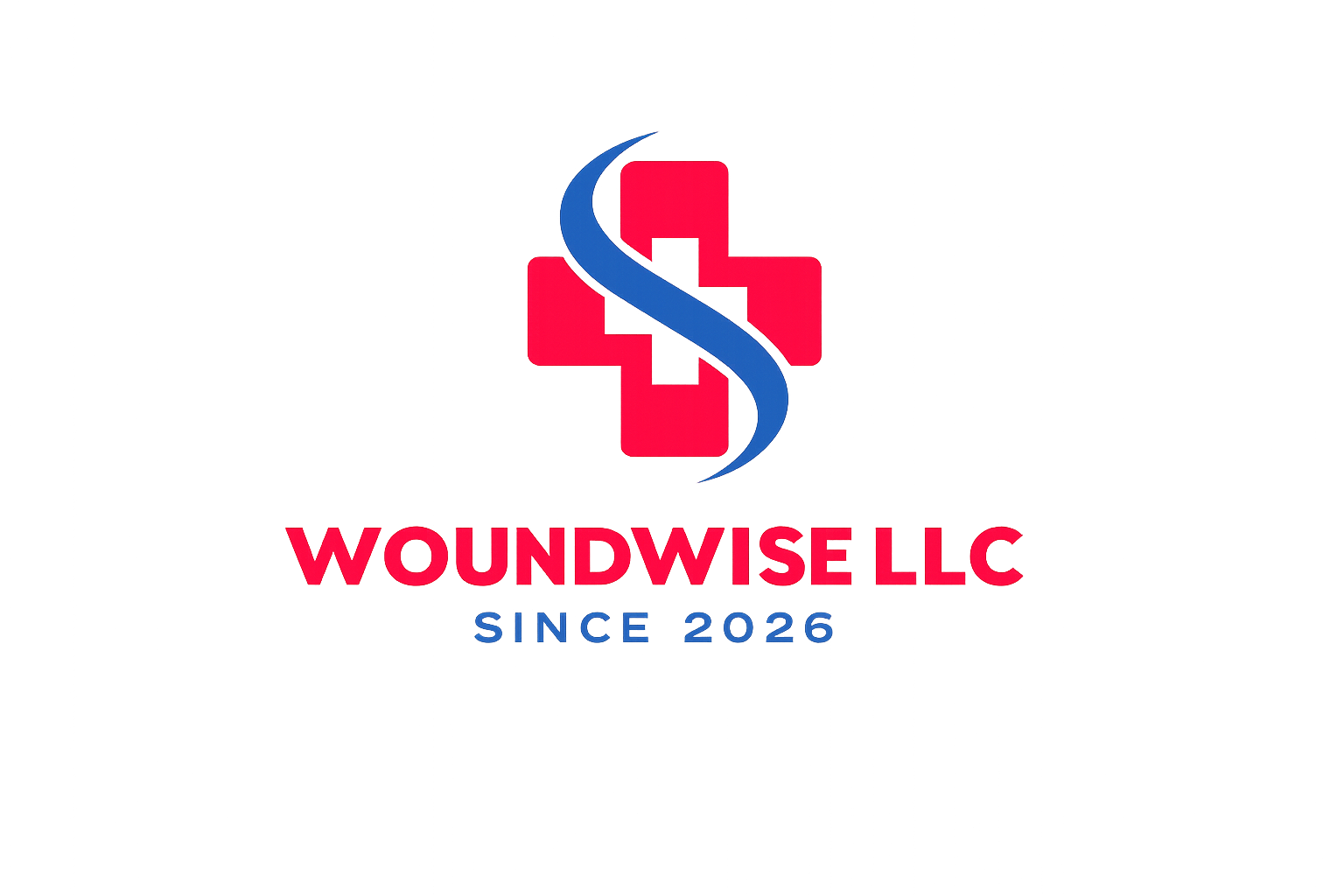 WoundWise LLC